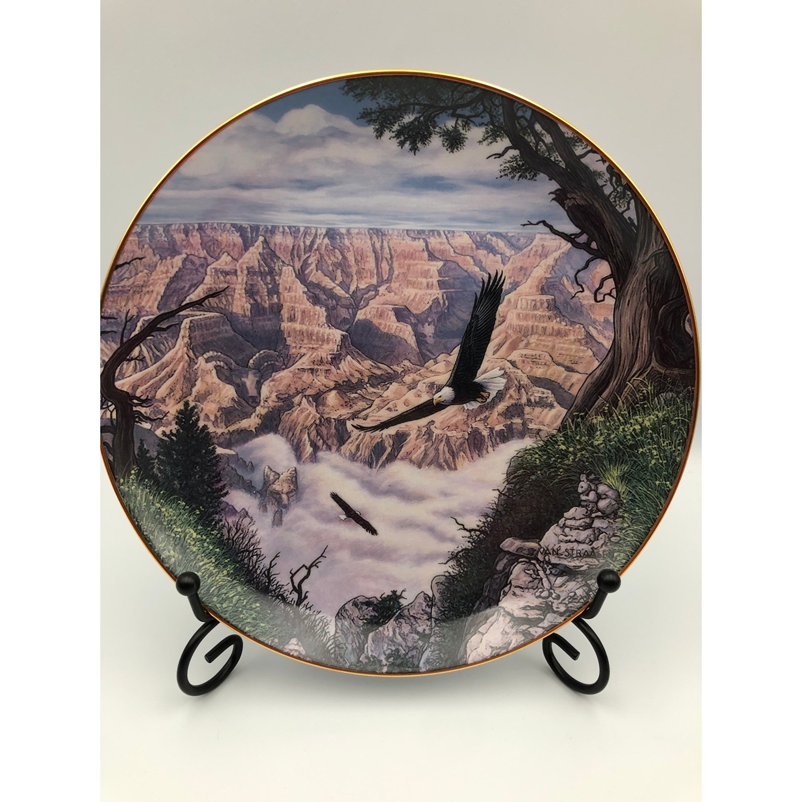 Vtg 1994 Danbury Mint Guardian of the Canyon John Van Straalen Eagle Plate E2197