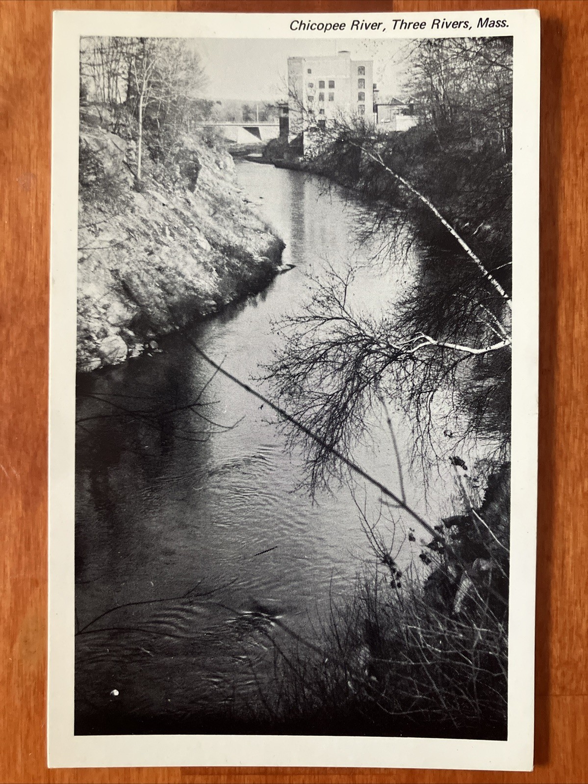 Chicopee River Three Rivers MA Postcard RA