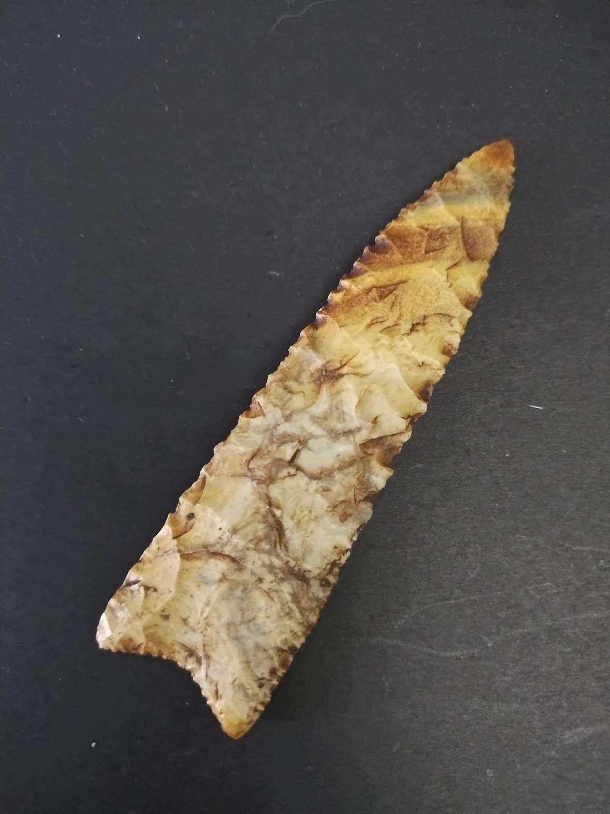 Very Fine Large Early Alabama Dalton Point 4 1/4\