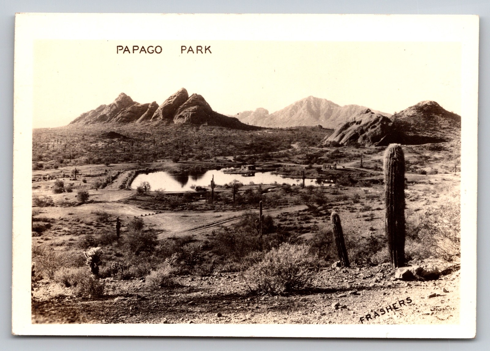 Vintage RPPC Photo Papago Park Arizona Desert Saguaro Cactus Mountains Scene