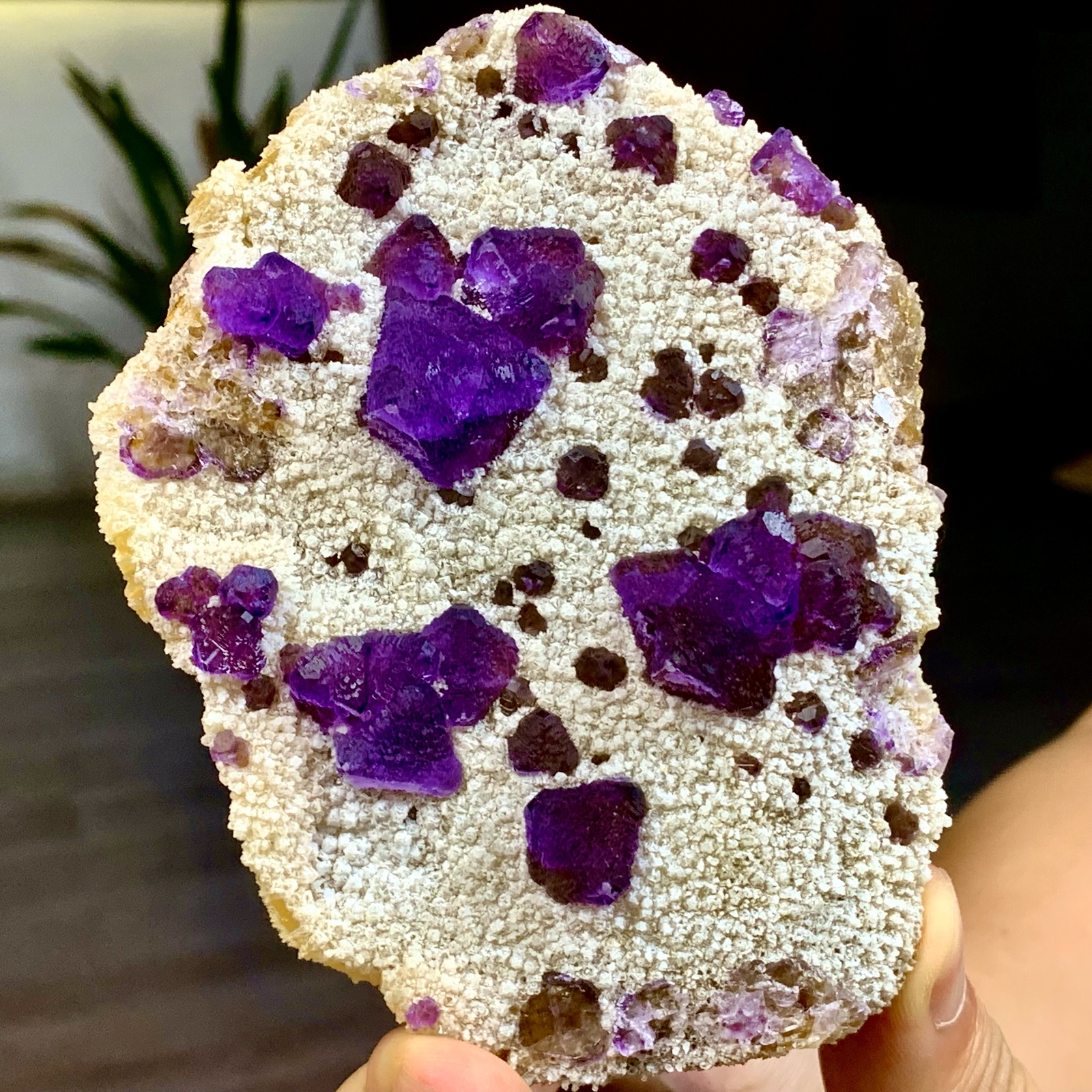 357G Natural Crystal Rare transparent purple cubic fluorite sample/China