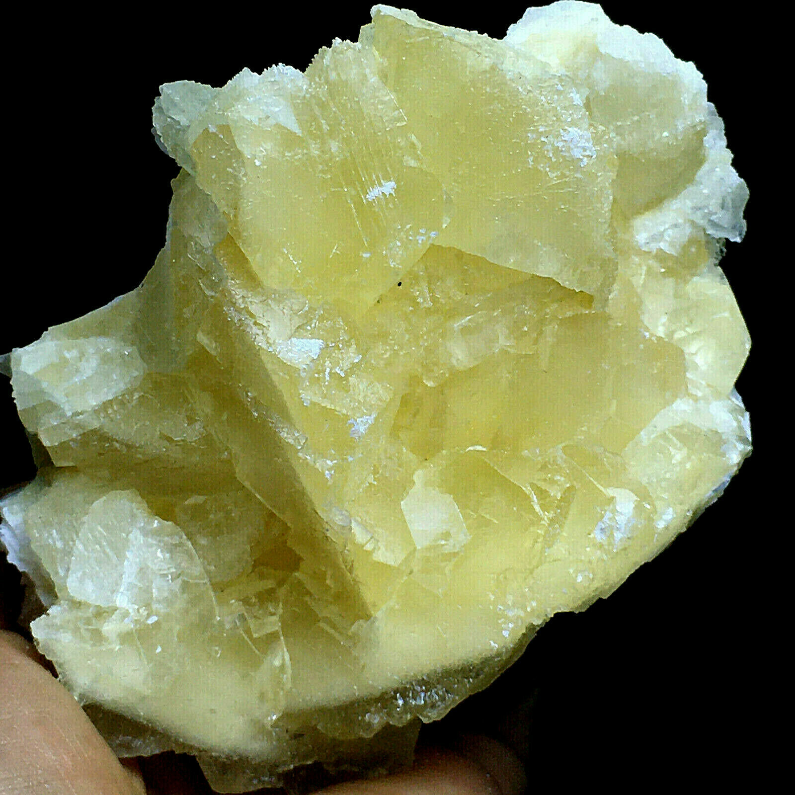 427g Natural Yellow Flaky Fluorescent Calcite Crystal Cluster Mineral Specimen