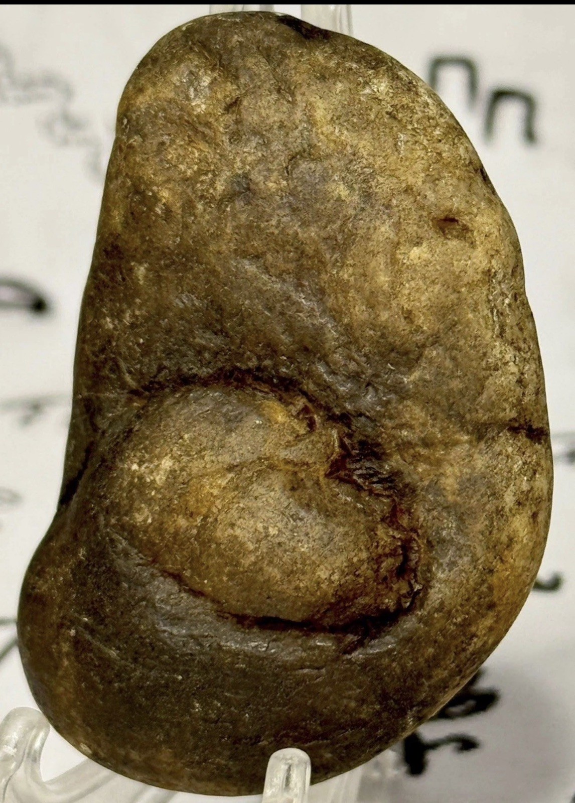 Pre Historic Man Made Authentic Carved Ancient  Stone Effigy/ Figure,  2.3 oz 
