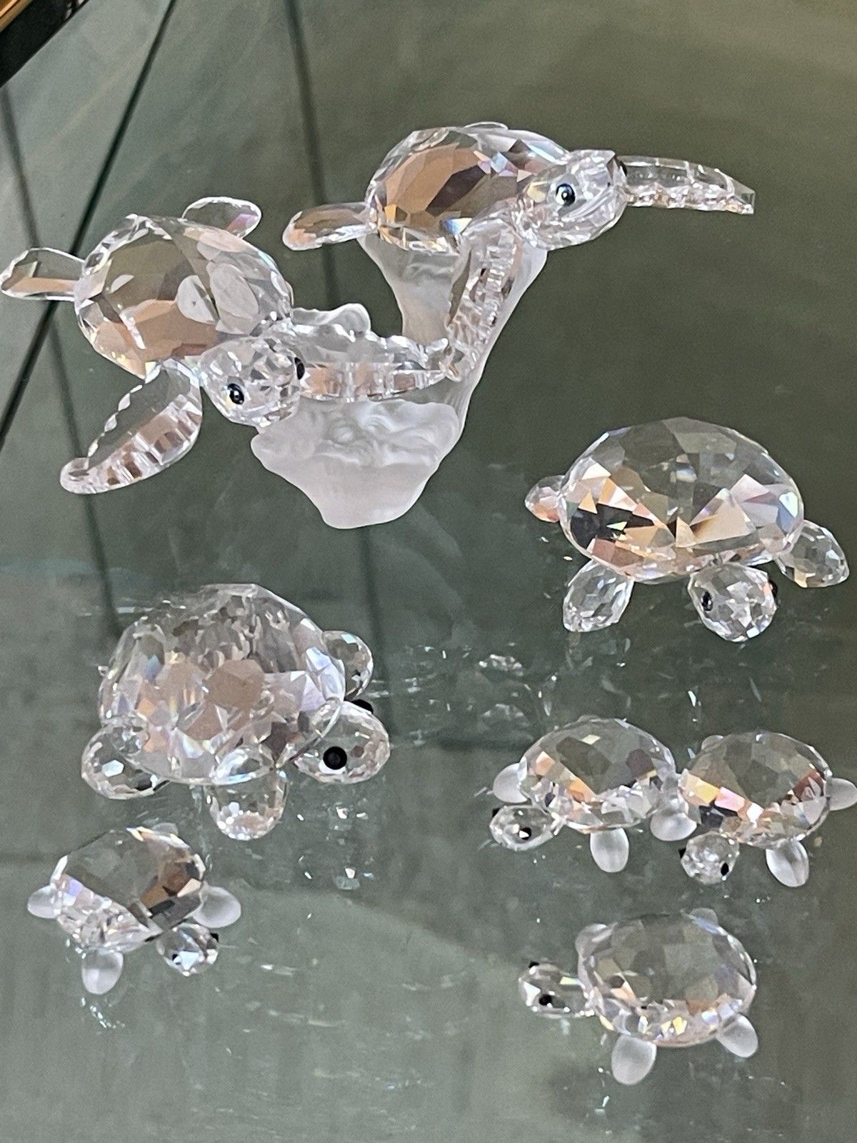 swarovski turtles,aquatic world#826480,2 tortoises 1 1/8\