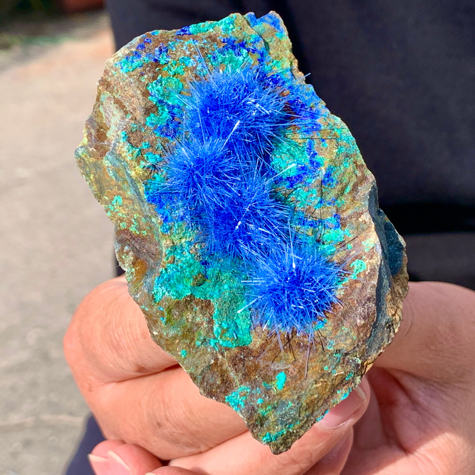 198G Natural Crystal Indian dandelion zeolite Quartz Cluster Specimen