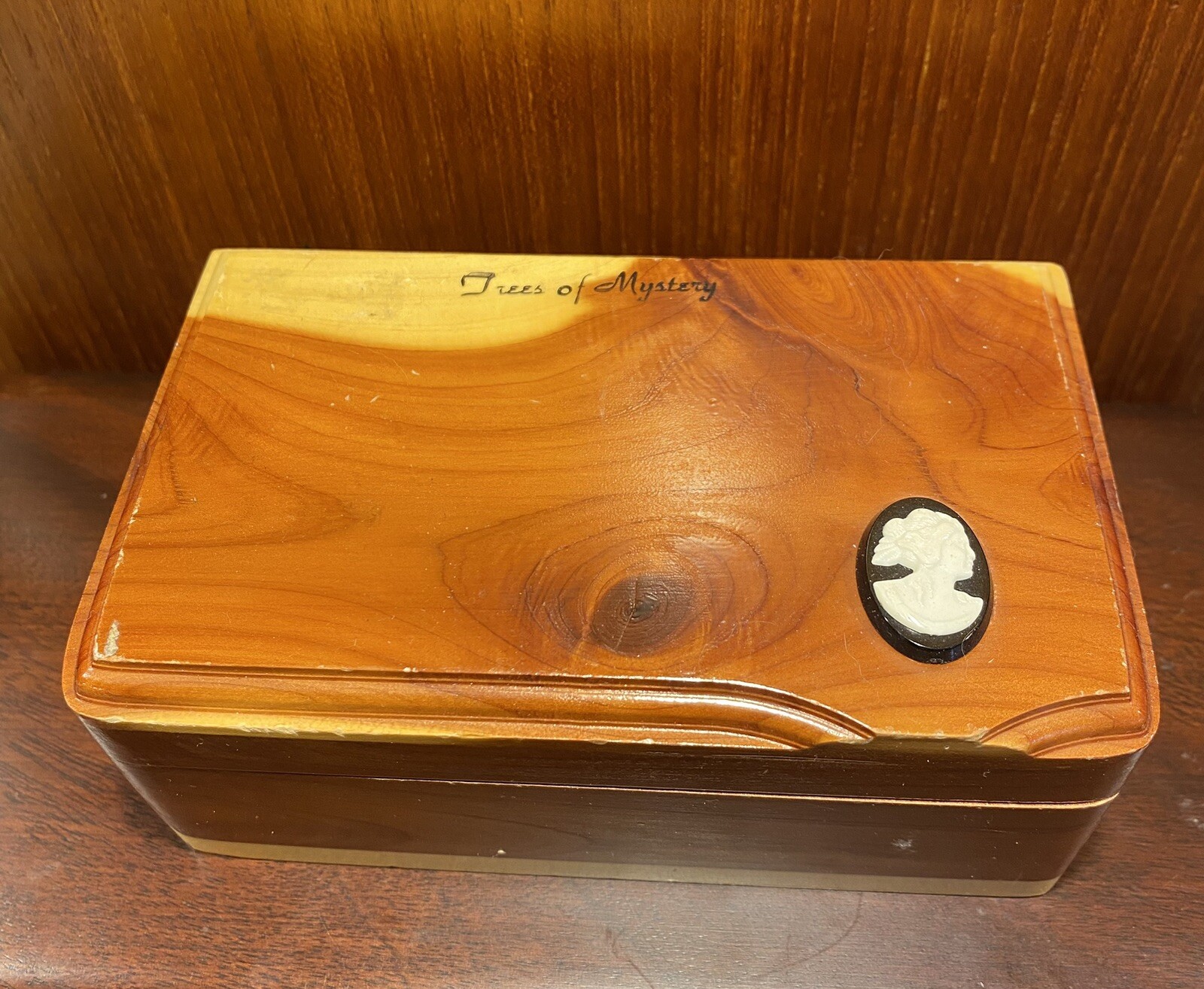 Antique Mini Cedar Wood Box Souvenir Trees Of Mystery Klamath CA RARE