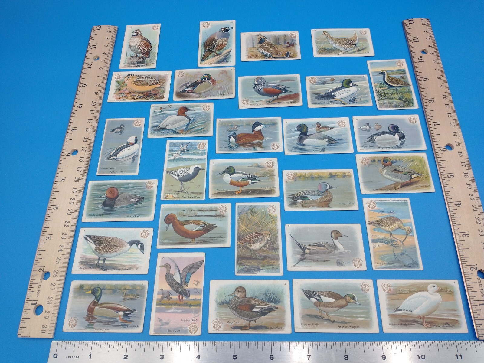 Lot fo 29 Vintage Arm & Hammer Church & Co's Soda Series No.4 Ducks #Z824