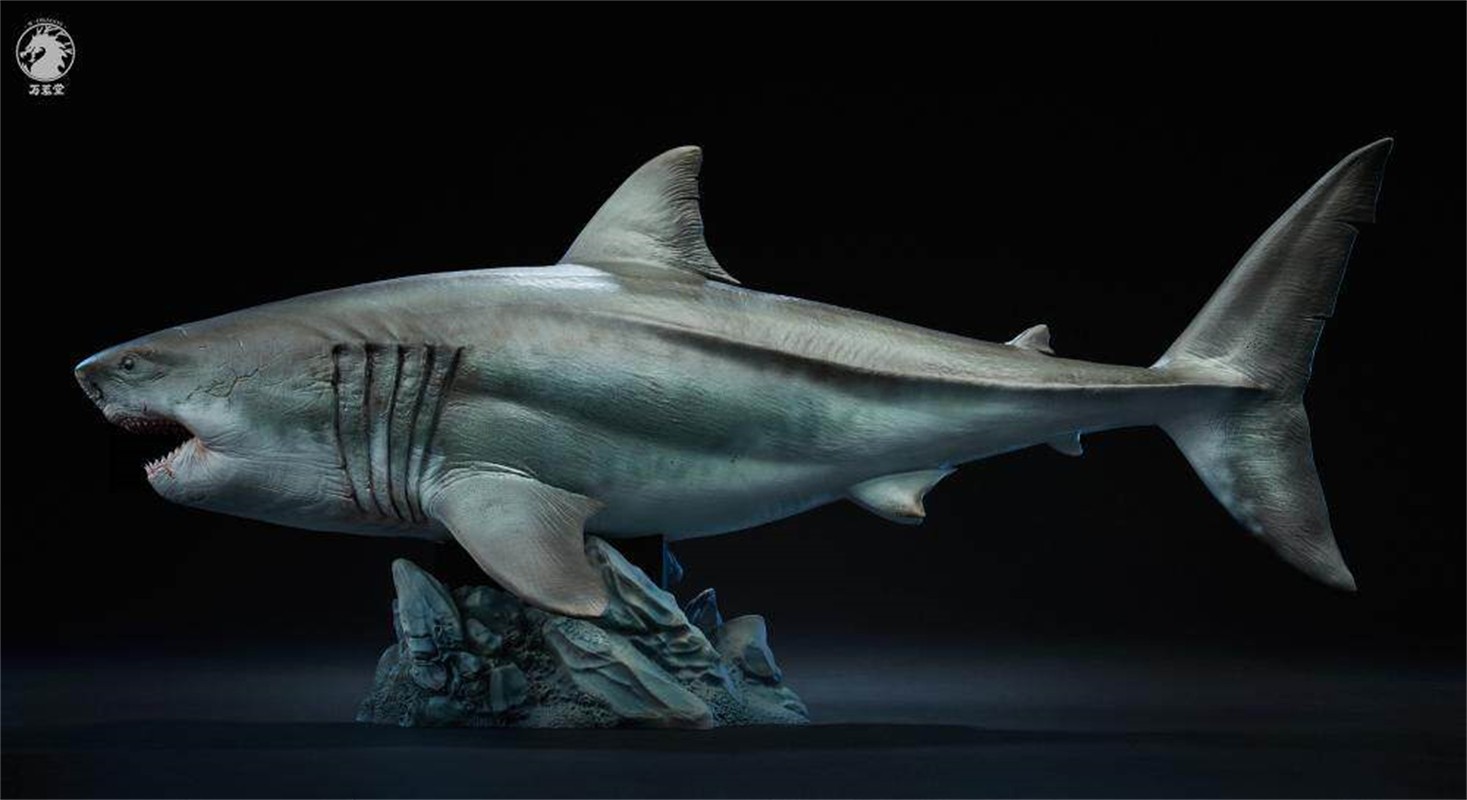 W-Dragon The Meg 1/35 Wild Animal Shark Model GK Statue New In Stock