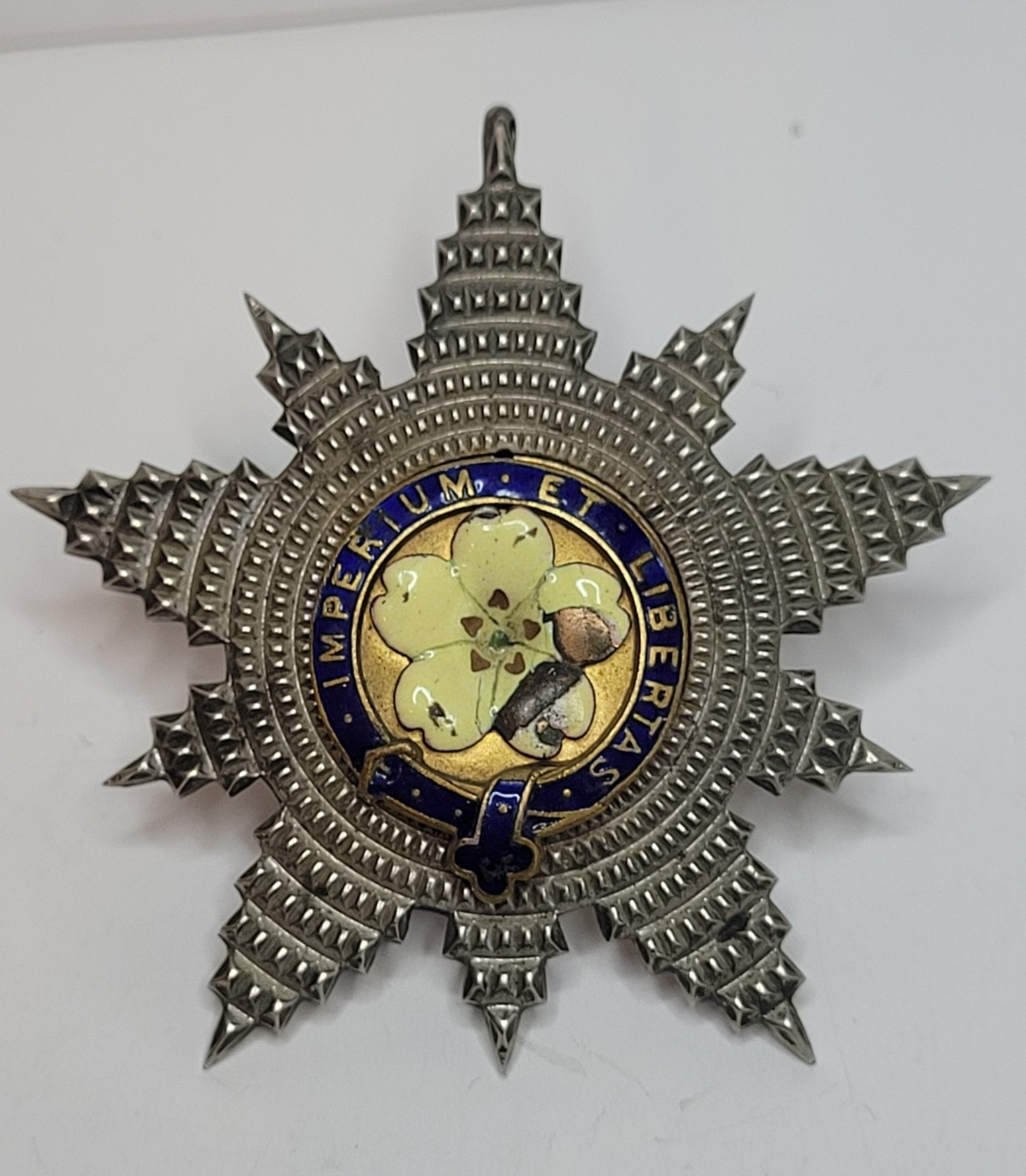 Victorian Primrose League Grand Star Medal 1887