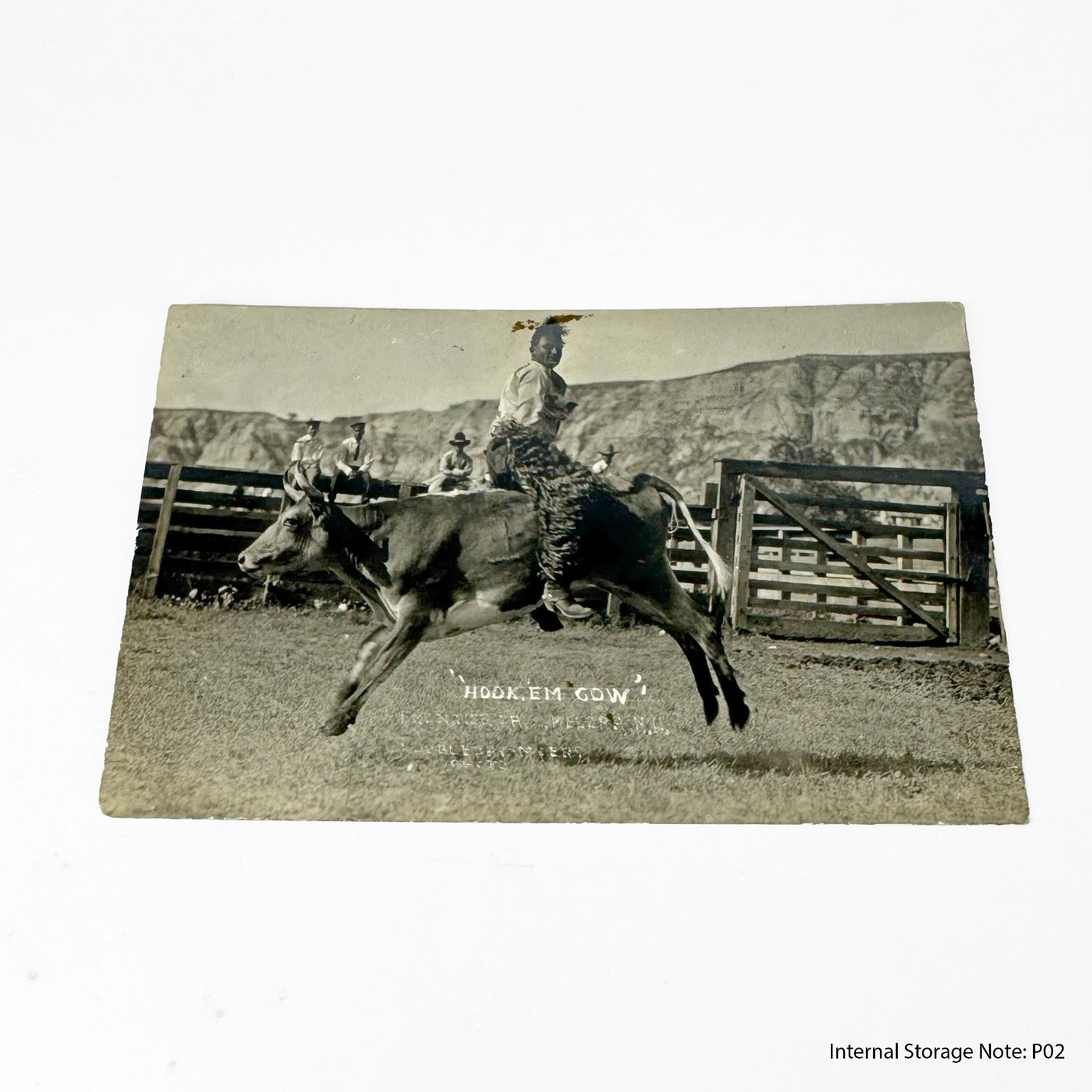 Vintage Real Photo Postcard RPPC Boy Riding Calf Rodeo Hook \'Em Cow Unposted