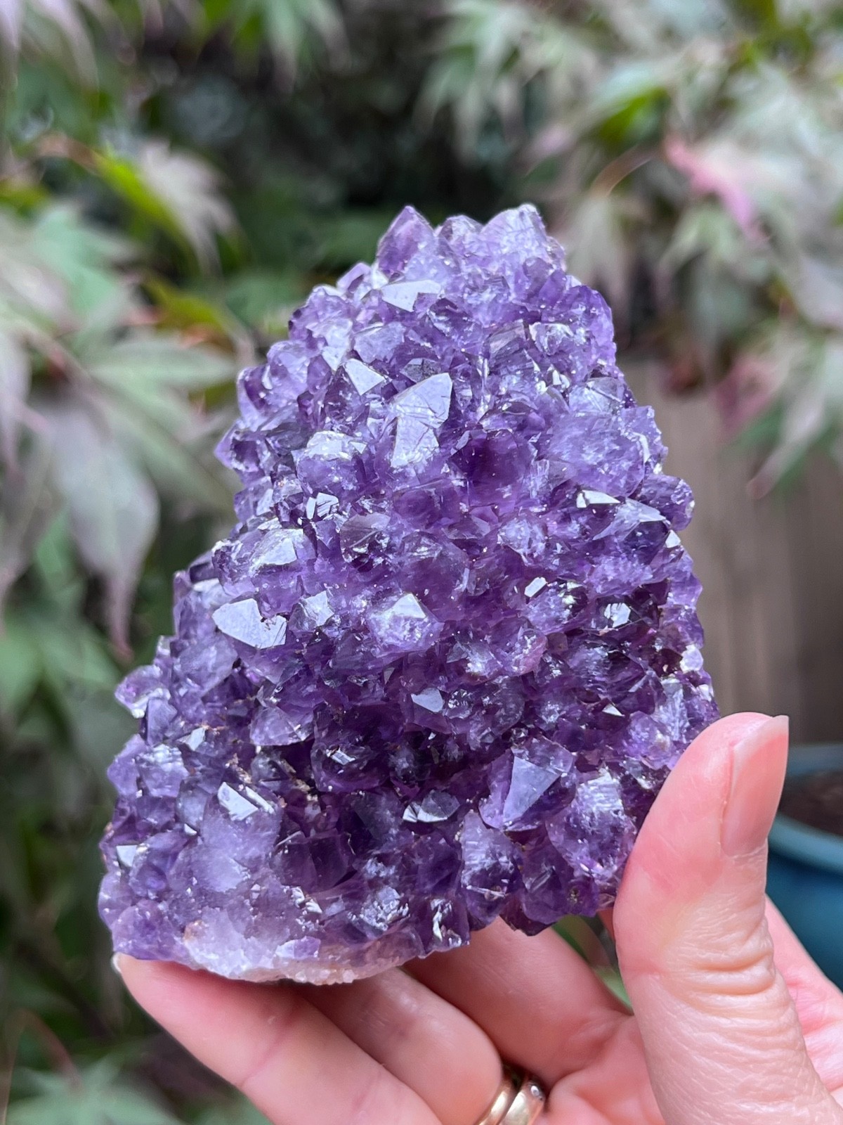 Amethyst Rosette Stalactite Cluster Uruguayan 482g 7 AAA+ Deep Purple