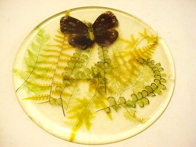 VTG Acrylic Lucite Hot Pad Clear Green Ferns Butterfly 8” MCM Round Hot Plate FS
