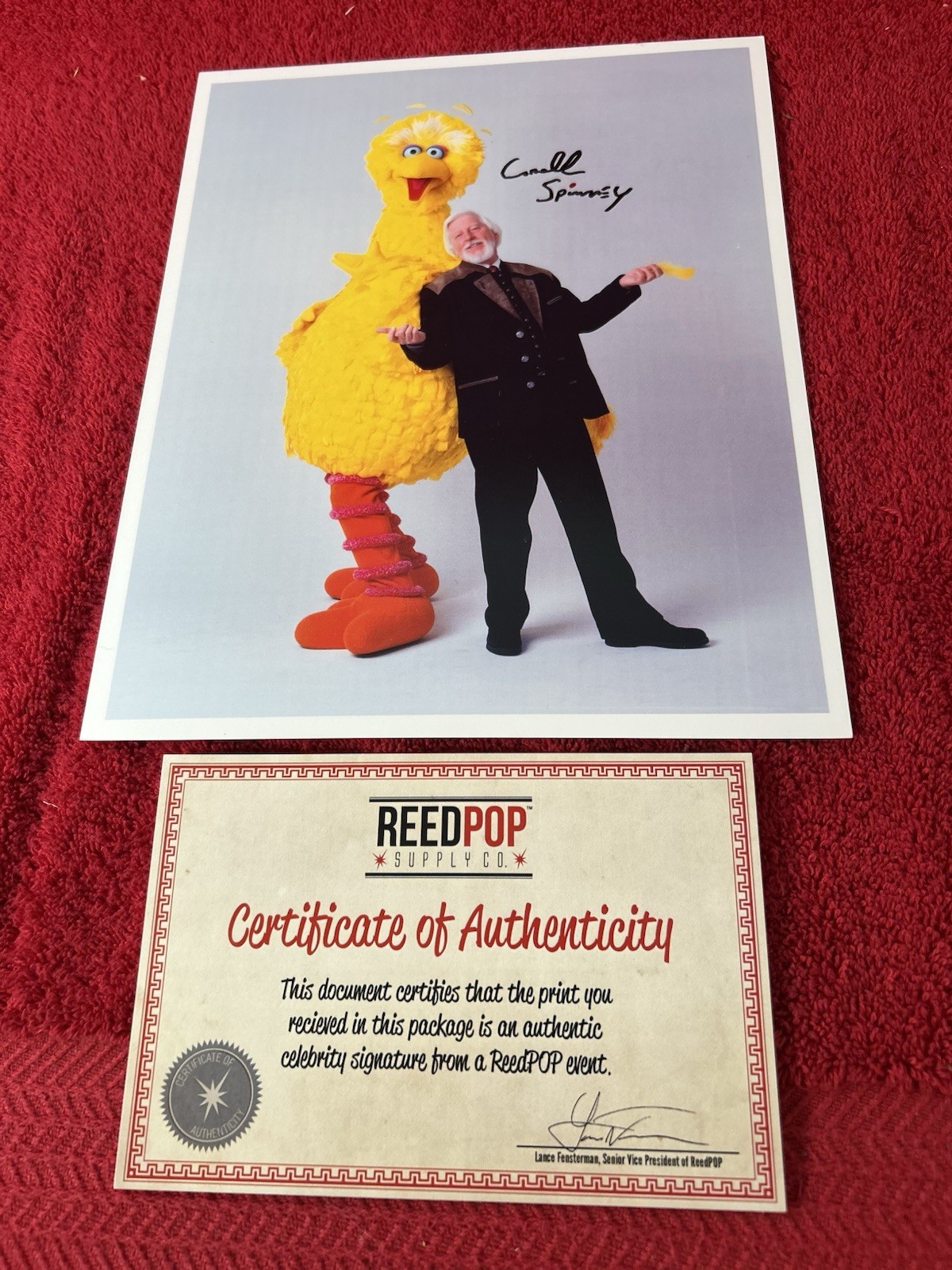 1969-2016 Carroll Spinney & “Big Bird”  Signed 8 x 10\
