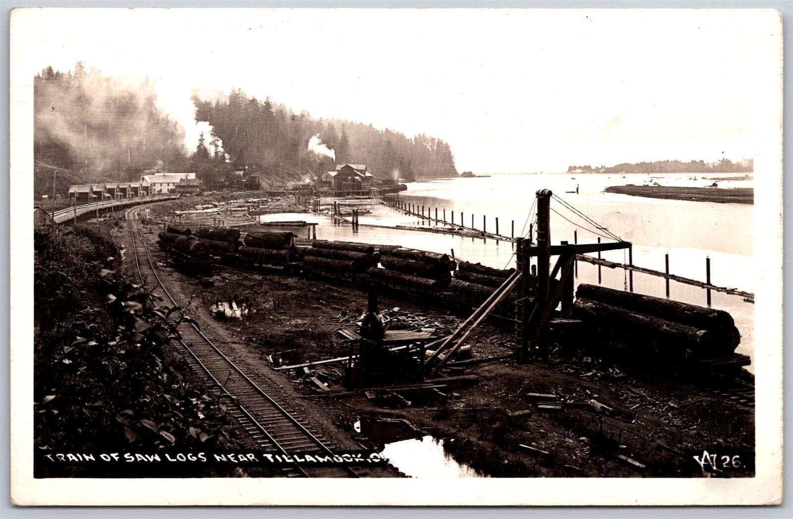 Vtg Tillamook Oregon OR Train Of Saw Logs Logging Railroad RPPC Postcard
