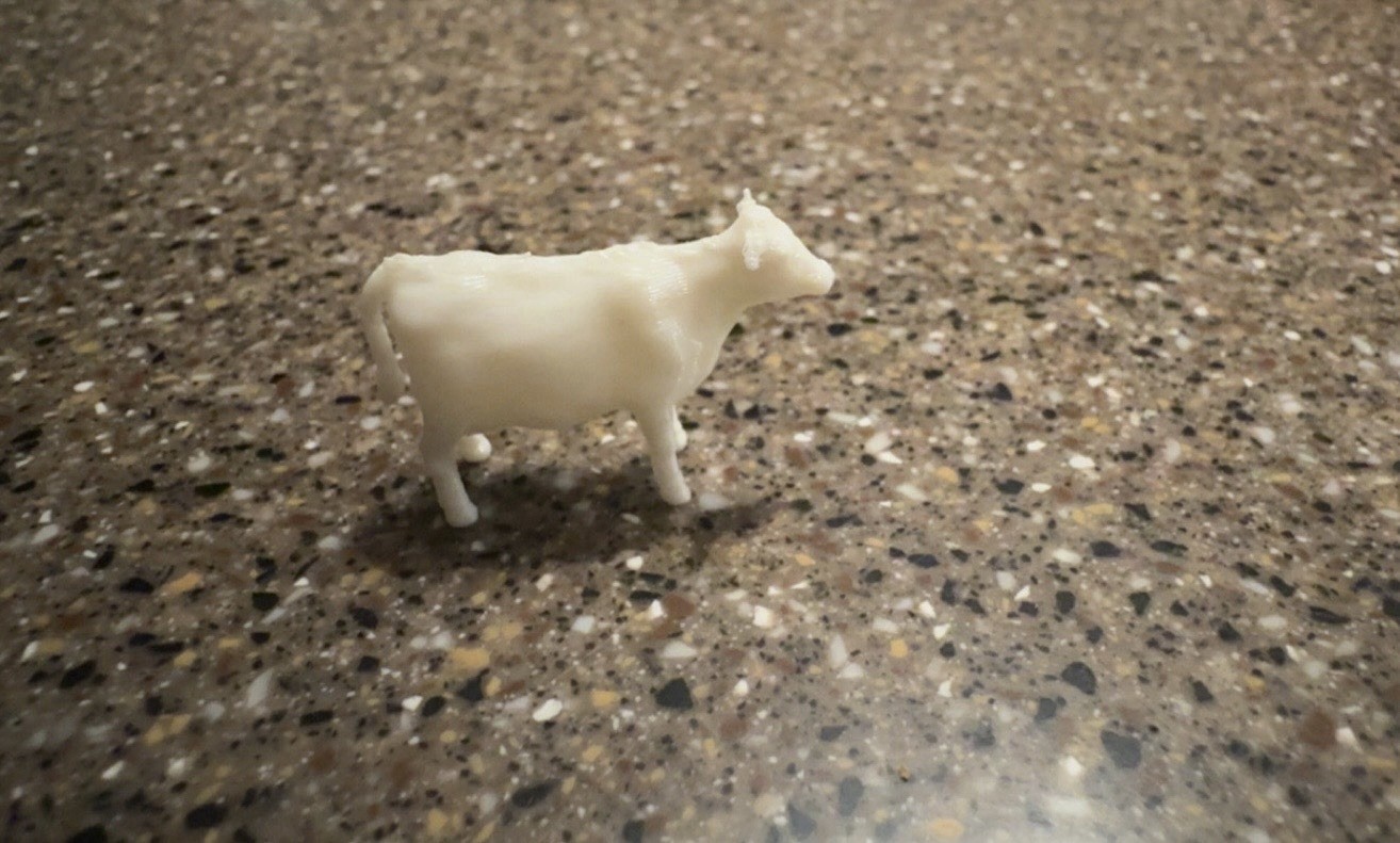 1/64th Calves, 20hd White
