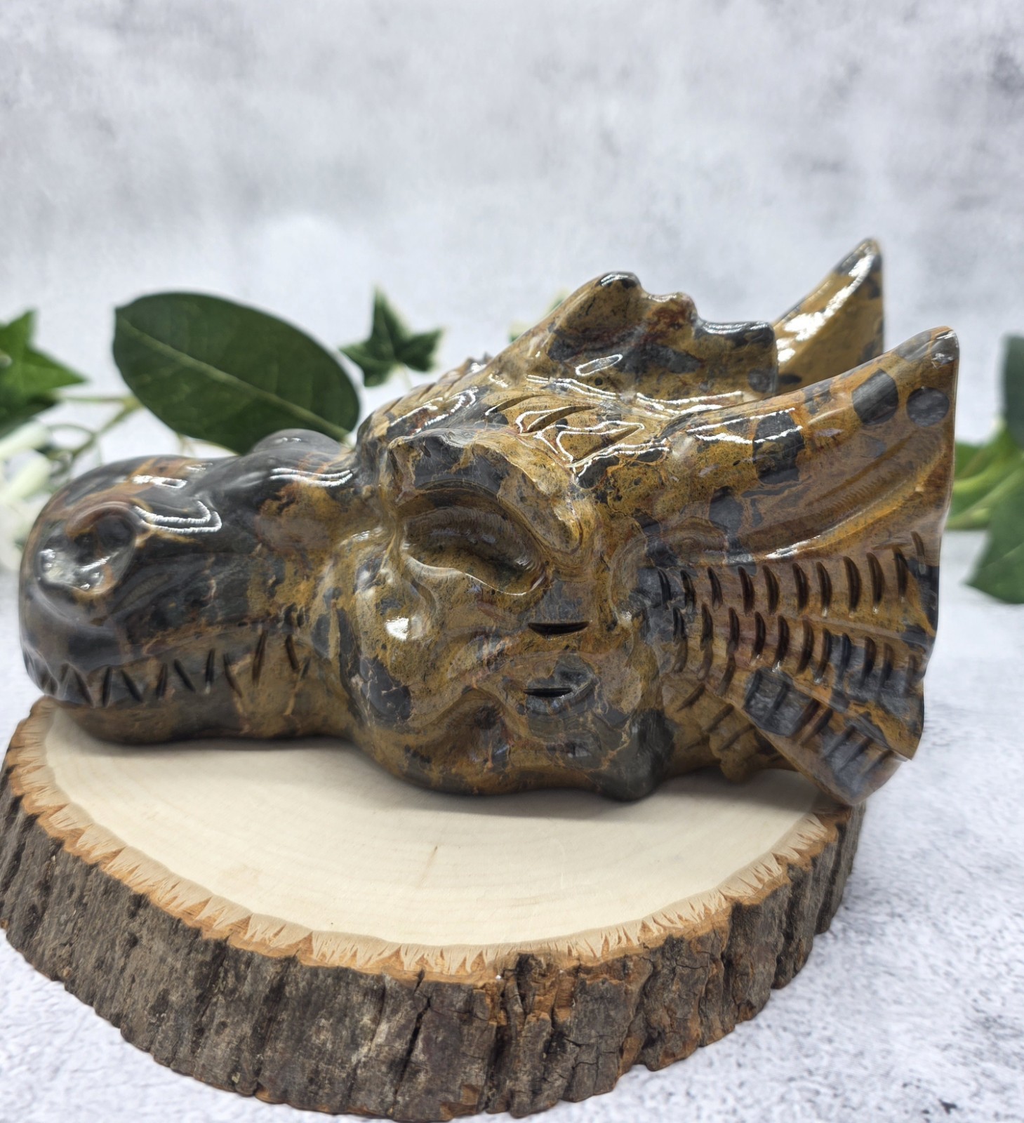 Mountain Jasper Dragon Head Skull Hand Carved Stone 2 lb 10.6 oz Fantasy Decor