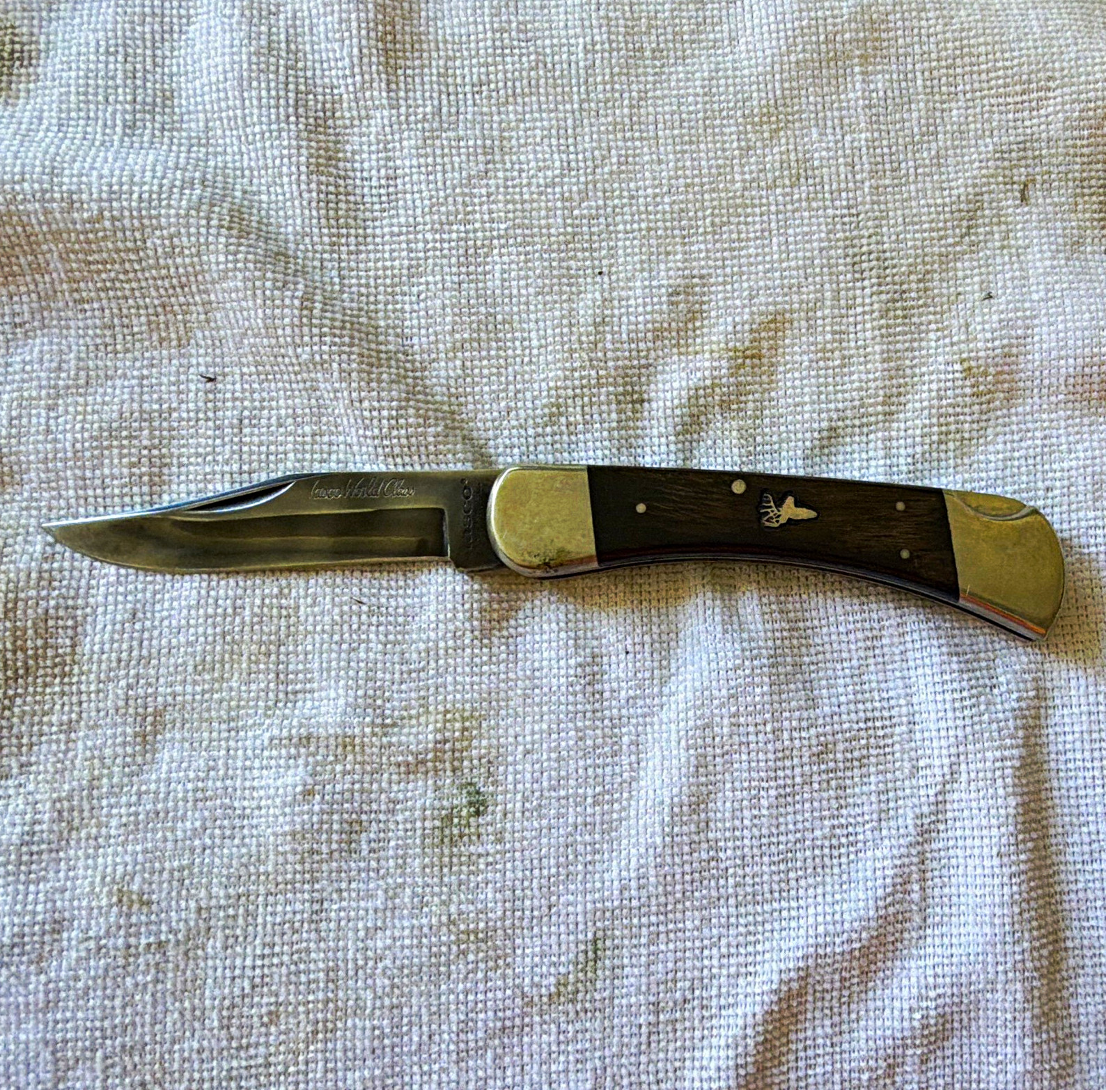 Vintage Tasco World Class Folding Hunting Knife Japan 440 Vanadium Lockback