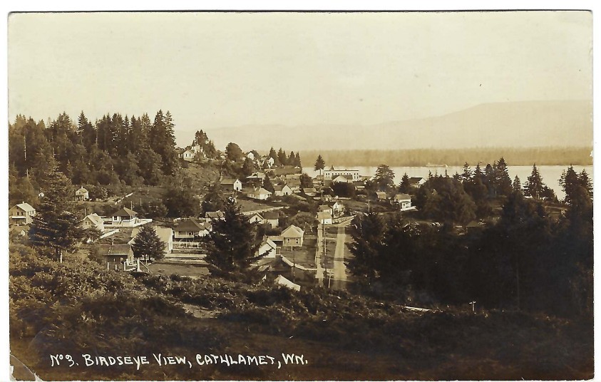 1914 Washington State RPPC - Birdseye View, Cathlamet WA (Columbia River Photo)
