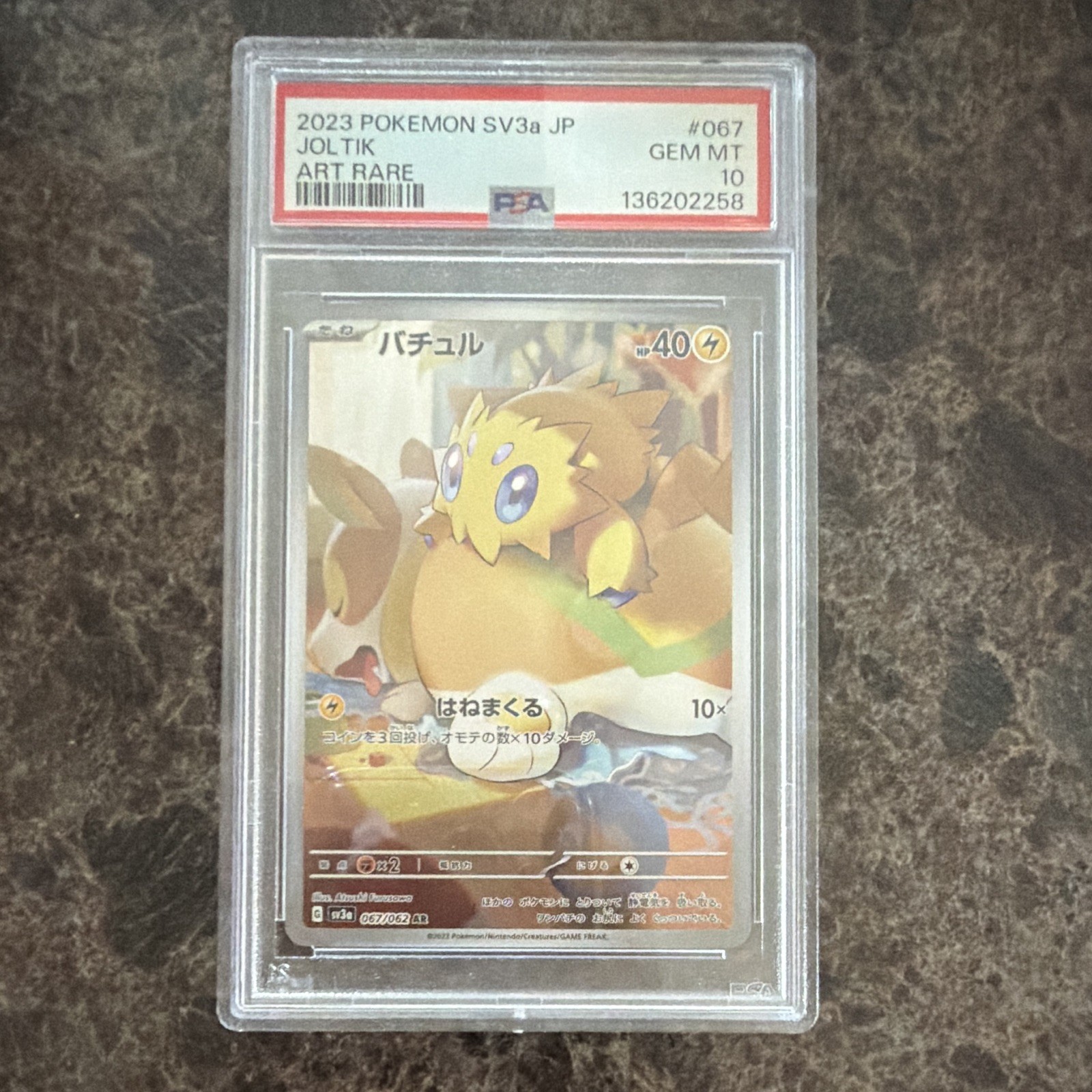 2023 Pokémon SV3a Japanese Joltik Art Rare #067 PSA 10 Cert 136202258 2023 Pokémon SV3a Japanese Joltik Art Rare #067 PSA 10 Cert 136202258