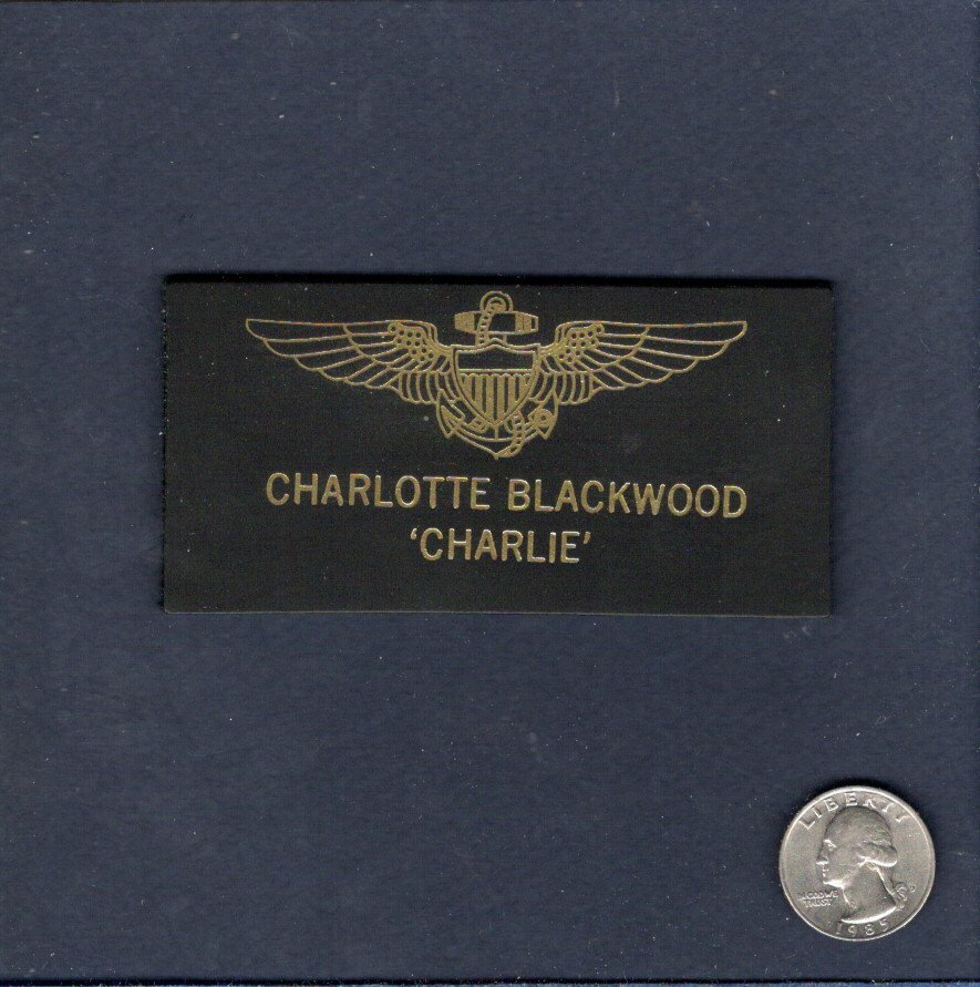 Charlotte CHARLIE Blackwood Top Gun Movie Costume NAVY Squadron Name Tag Patch