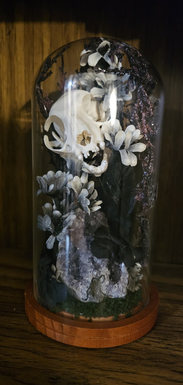 Gothic Skull & Floral Glass Dome Display Cloche on Wood Base Taxidermy Oddities
