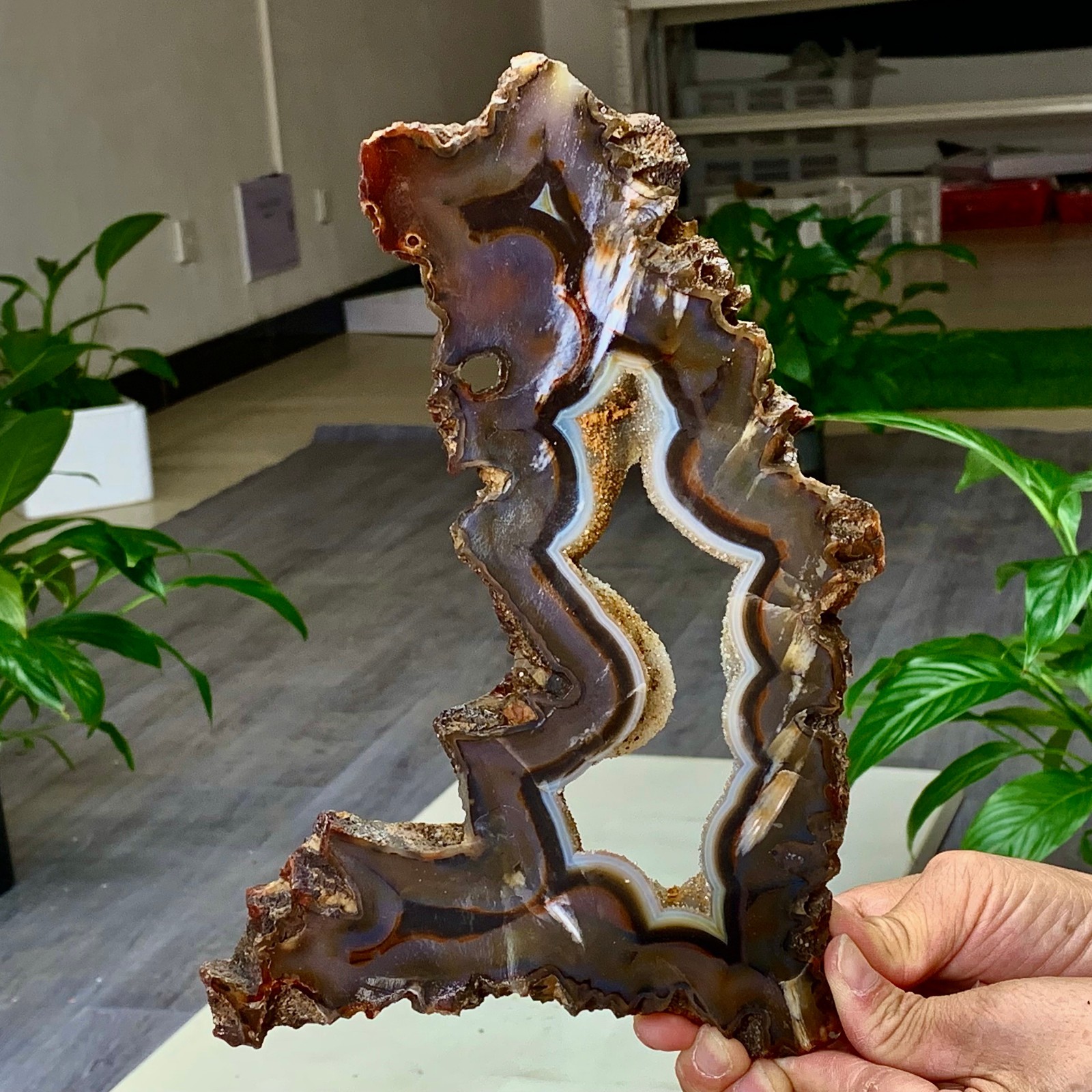1.76LB Natural  Stripe Agate Slice Quartz Crystal  Slab Ore Specimen