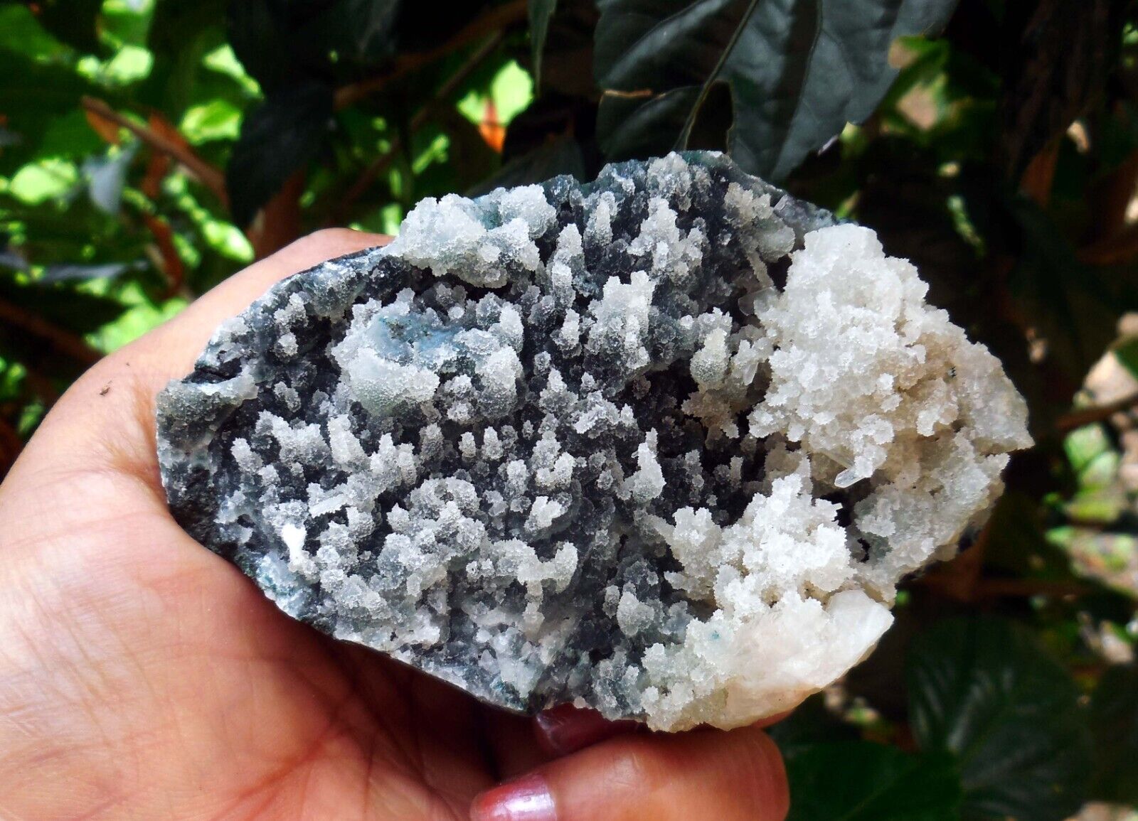 CHALCEDONY Coral & Matrix Minerals M-3.24