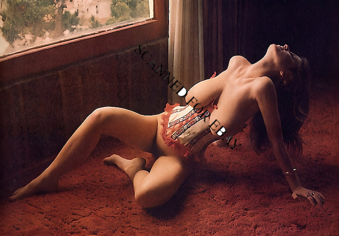 ROBERTA PEDON busty breasts ART NUDES photo woman legs picture female print FR69