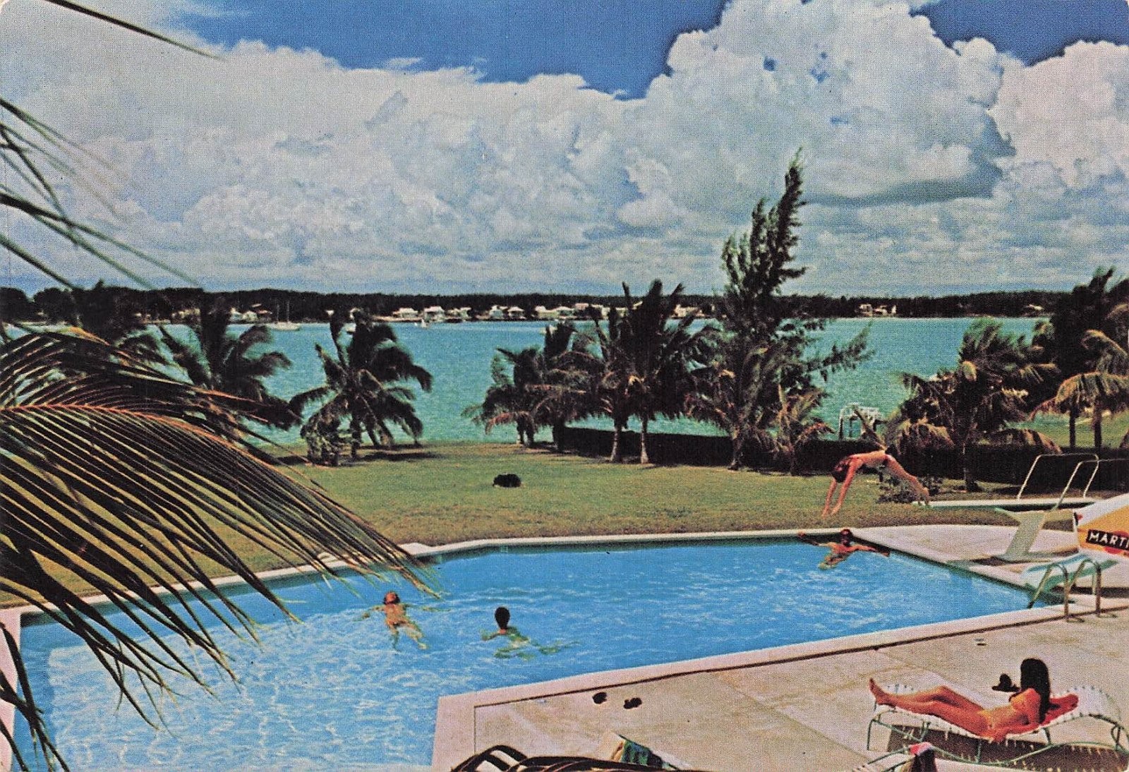 Marsh Harbour Bahamas Poolside View Pelican Shores Palm Trees Postcard