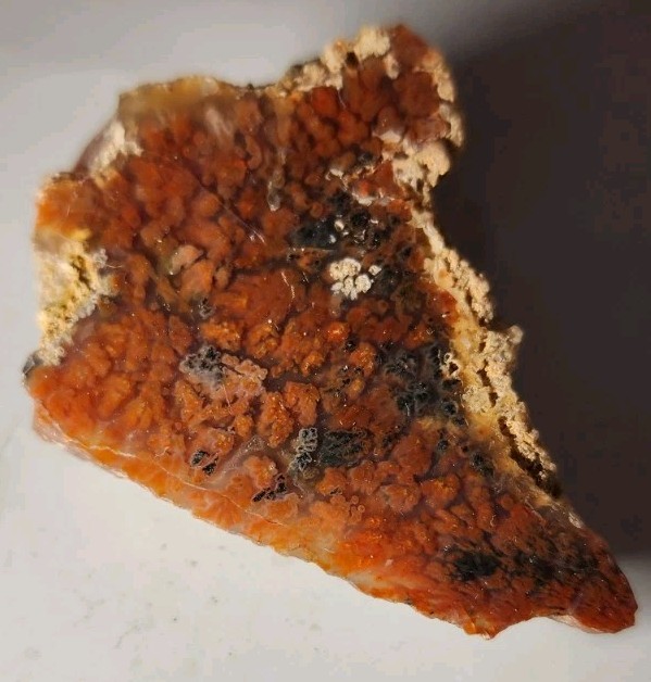 Powell Butte Plume Agate Beautiful AAA Quality Rare Polished Rough. OR (44 G)
