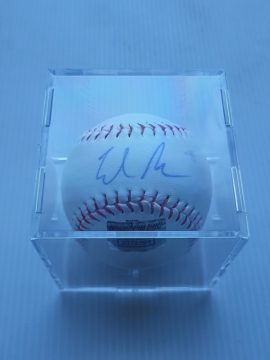 ELON MUSK Hand-Signed Autographed Baseball with COA & (Protective Display Case) ELON MUSK Hand-Signed Autographed Baseball with COA & (Protective Display Case)