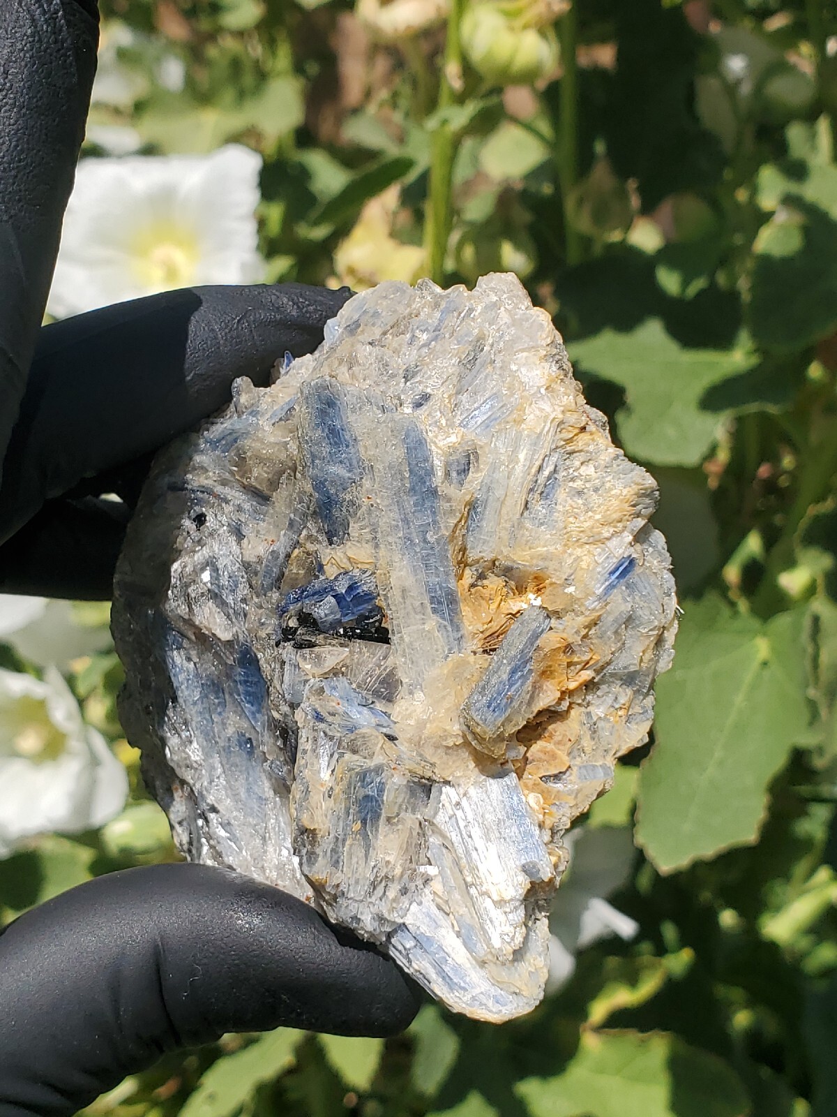 Blue Kyanite mineral Rough Specimen 196g