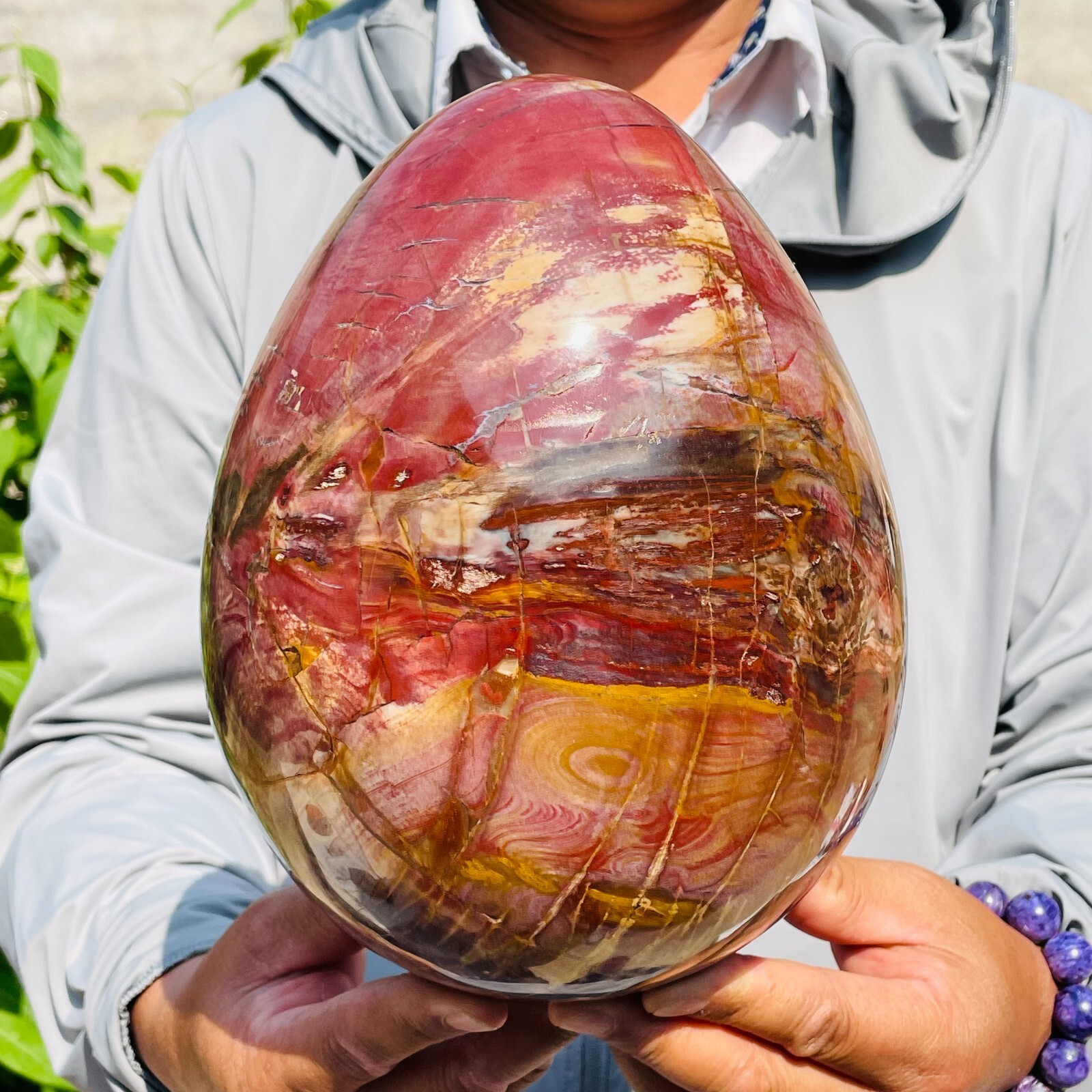 18.25lb Large Natural Petrified Wood Quartz Crystal Egg Shape Mineral Specimen