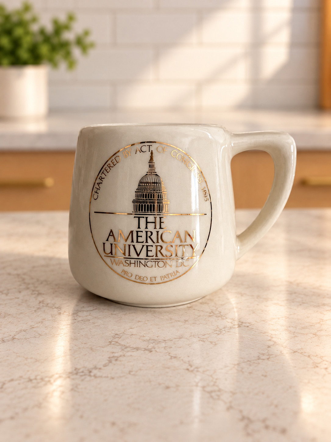 Vintage W.C. Bunting Co USA Mug The American University Washington DC Gold Crest