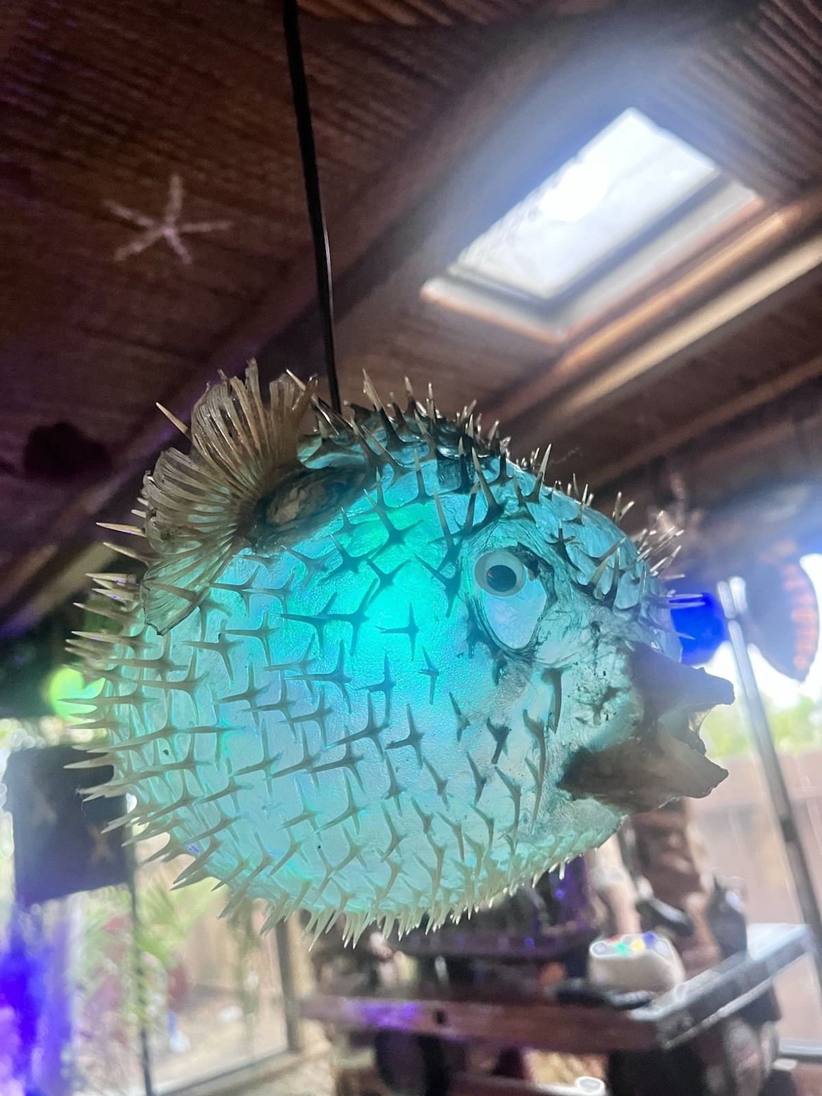 NEW 12”-13” Pufferfish Lamp w/Color Changing LED Tiki bar Oceanic