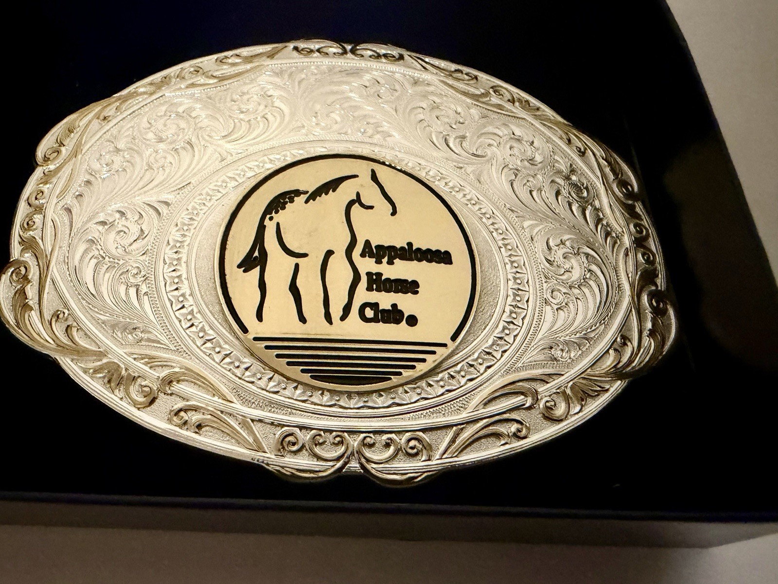 VTG Montana Silversmiths Appaloosa Horses Club Trophy Belt Buckle