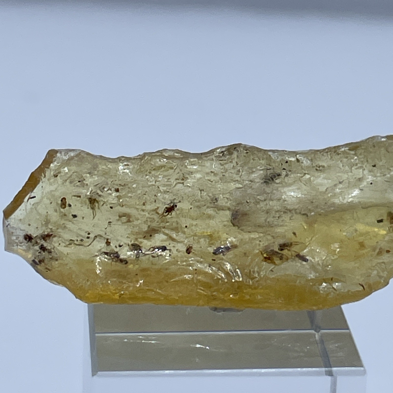UNIQUE GROUP OF FLEAS IN BALTIC AMBER MINIATURE FROM POLAND