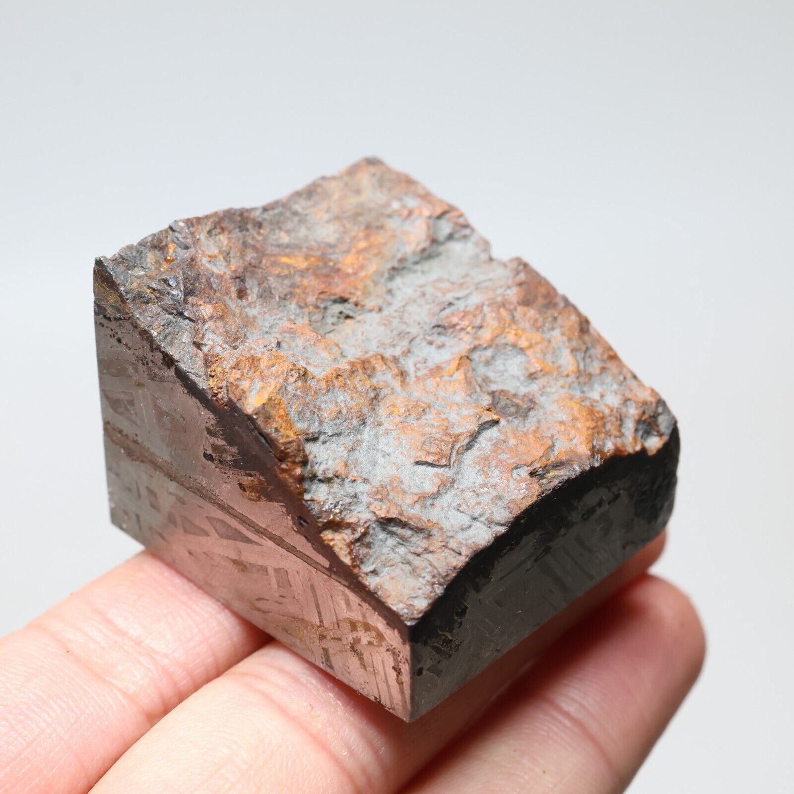 146g Muonionalusta meteorite part slice  A2127
