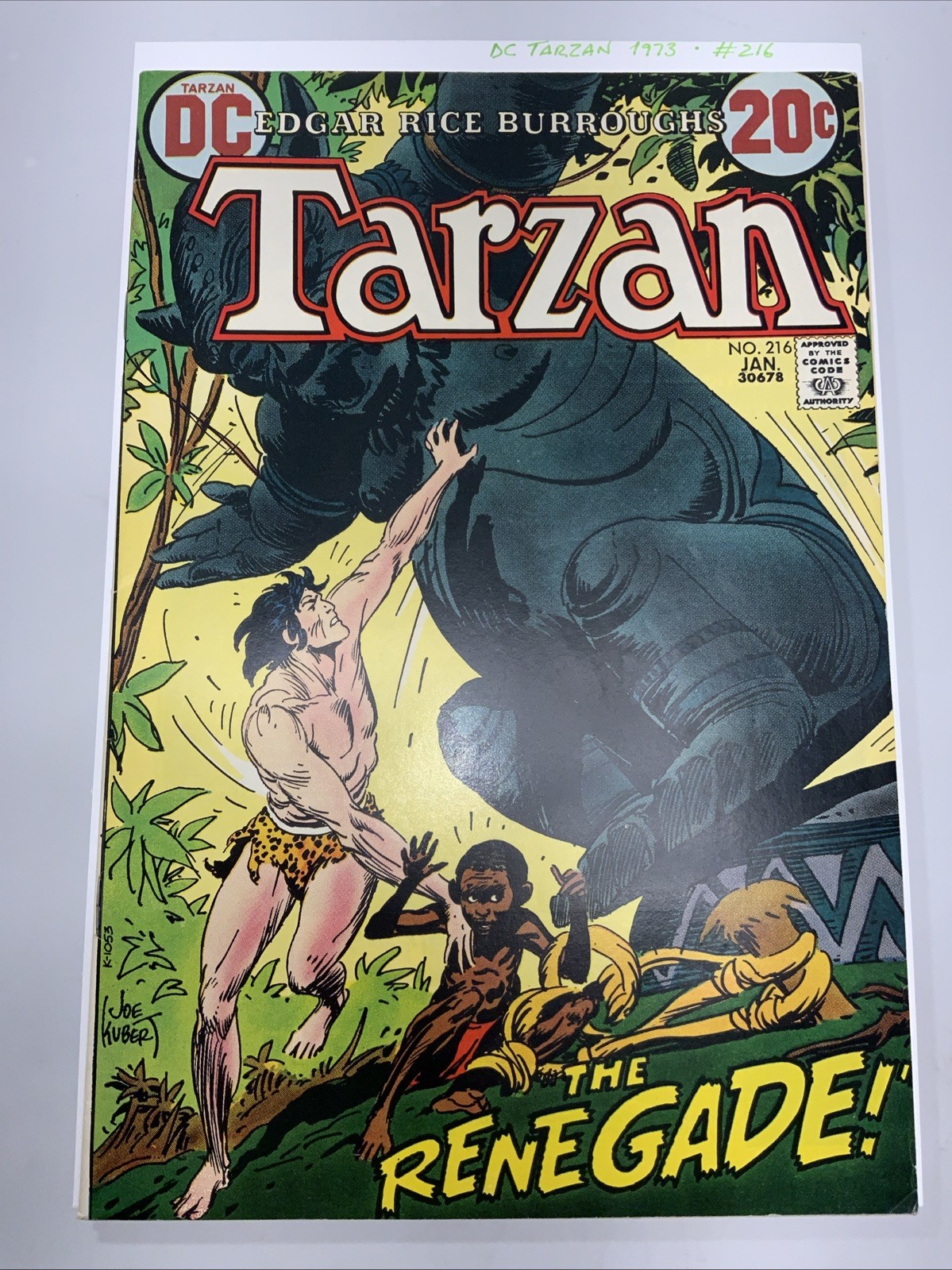 DC Comics Tarzan #216 1973 Edgar Rice Burroughs - Joe Kubert cover VF/NM Bronze
