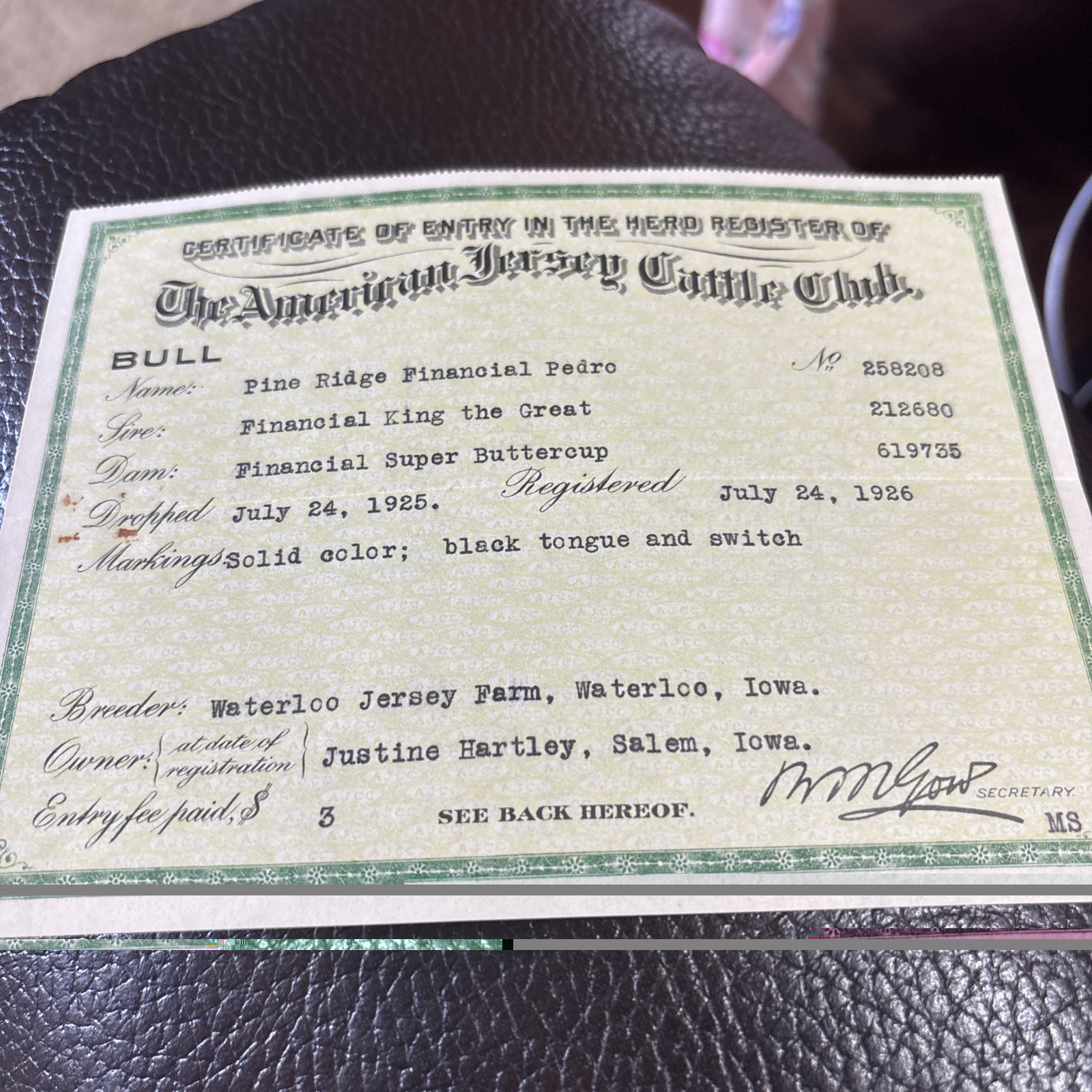 1926 THE AMERICAN JERSEY CATTLE CLUB-COW PEDIGREE RareCERTIFICATE  W/Env. Pedro