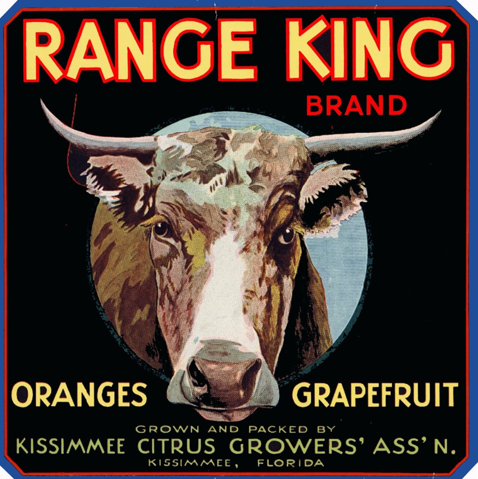 Kissimmee Florida Range King Steer Oranges Orange Citrus Fruit Crate Label Print