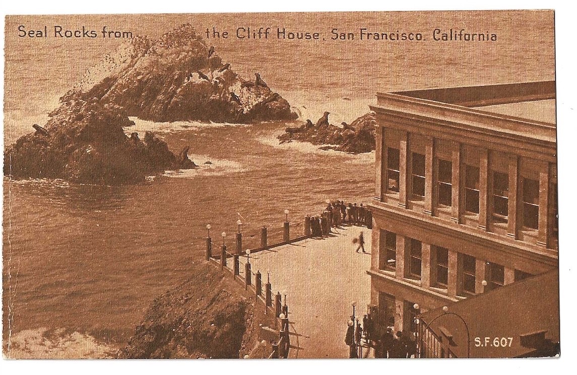 San Francisco Calif. c1910 Cliff House Restaurant, Seal Rocks, Roadside America