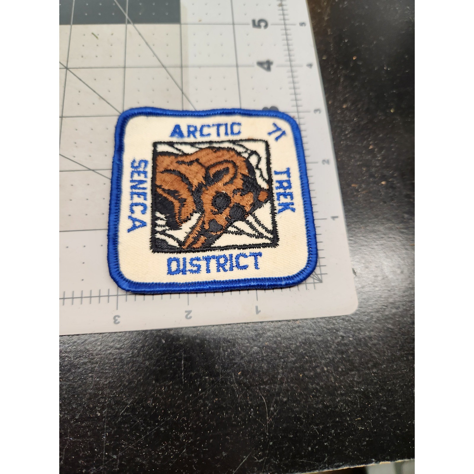 Boy Scouts of America Seneca District Arctic Trek 71 Bear Patch Vintage BSA