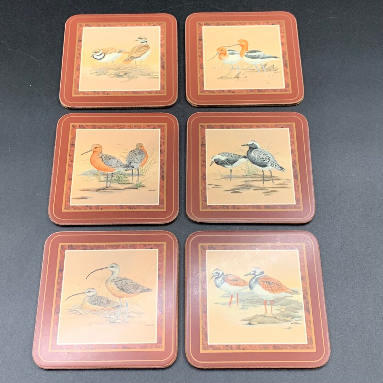 Vintage Pimpernel Cork Backed Coasters Shore Birds Set of 6 New in Box England