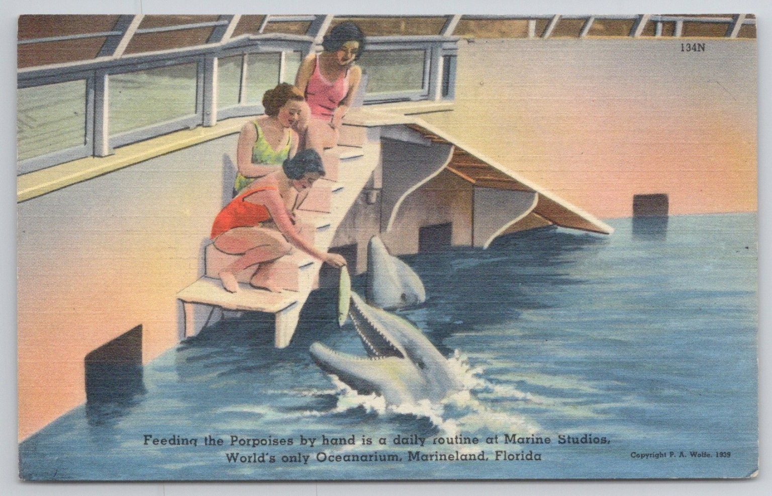 1939 Marineland FL Porpoise Feeding Oceanarium Postcard Tichnor Linen