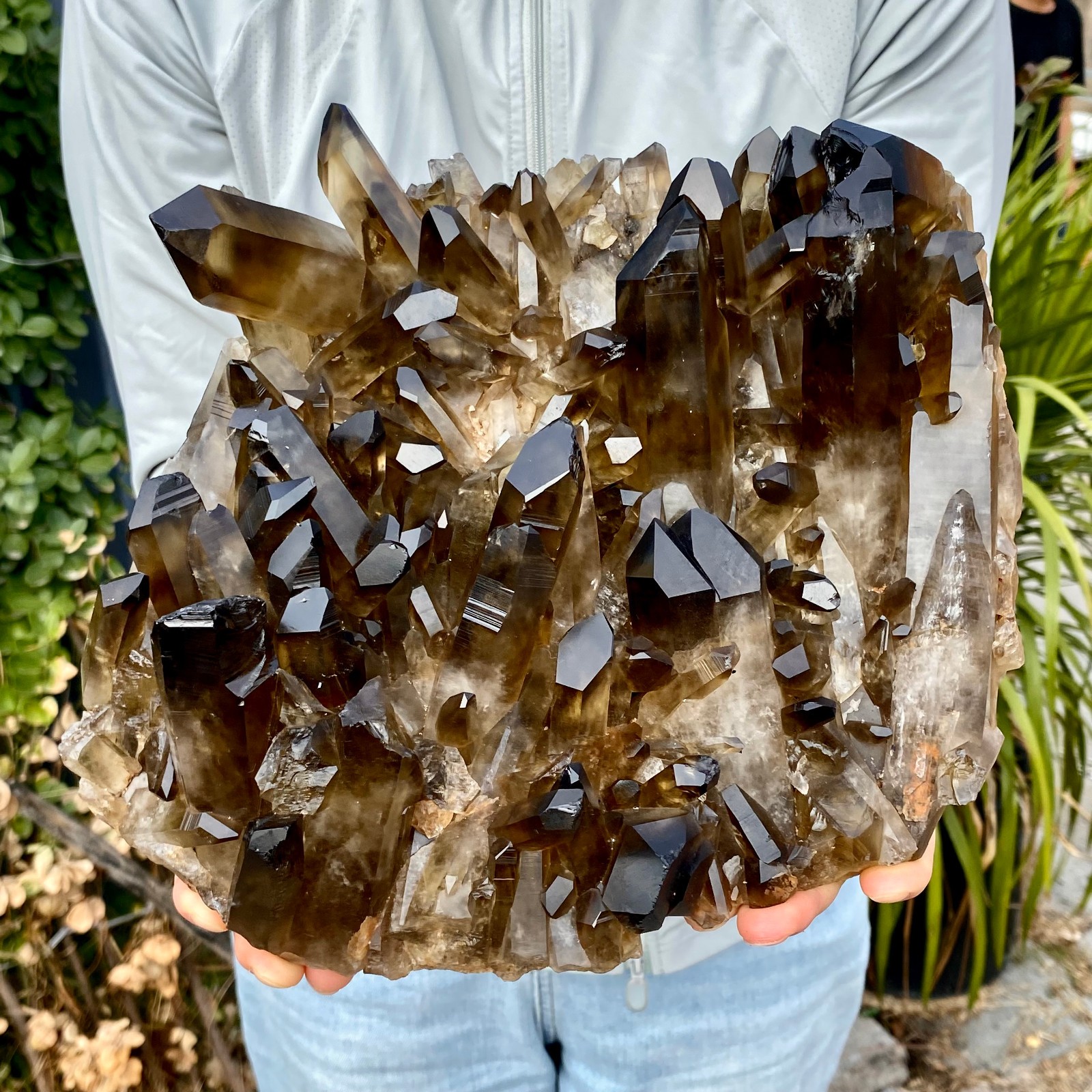 11.66LB Large Natural Smoky Black Quartz Cluster Crystal raw Specimen Healing