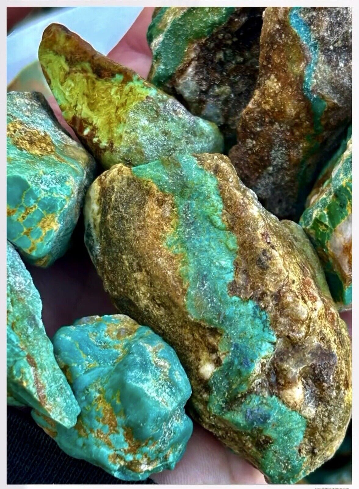 Old Hardy Pit Turquoise circa 1960. Excellent Quality. 1/4 Pound. Almost Gone.