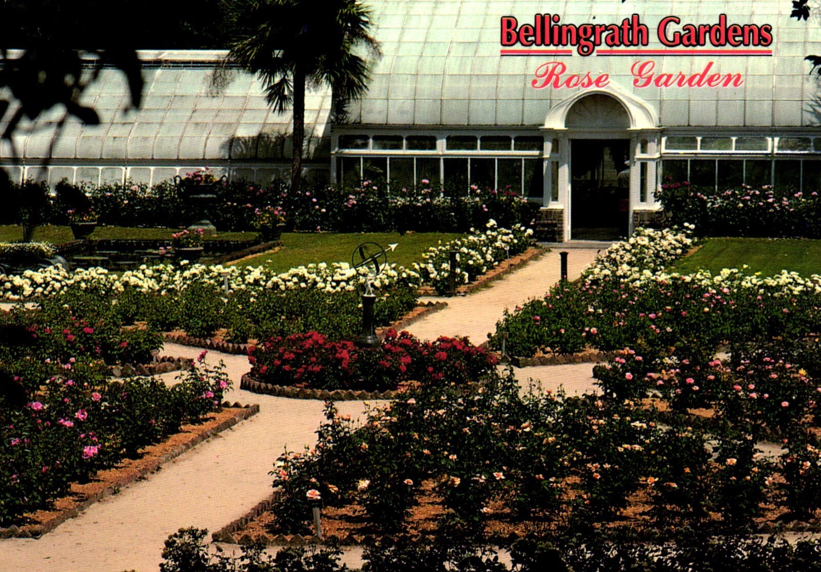 Rose Garden Bellingrath Gardens Theodore Alabama Postcard