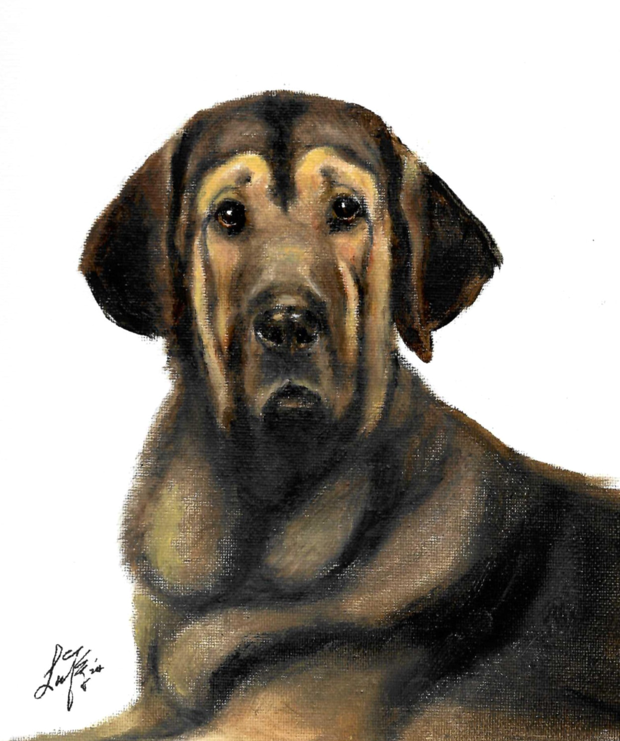 ✤ ORIGINAL Oil Dog Portrait Painting SPANISH MASTIFF Artist Signed Artwork 8x10