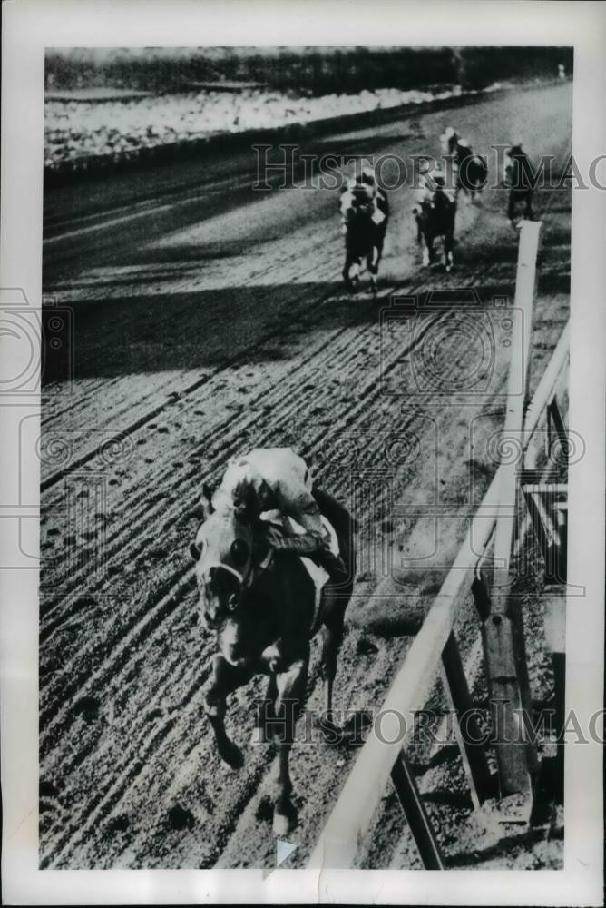 1950 Press Photo Hialeah races Florida Rash Night wins vs Big Juice, Cervantes